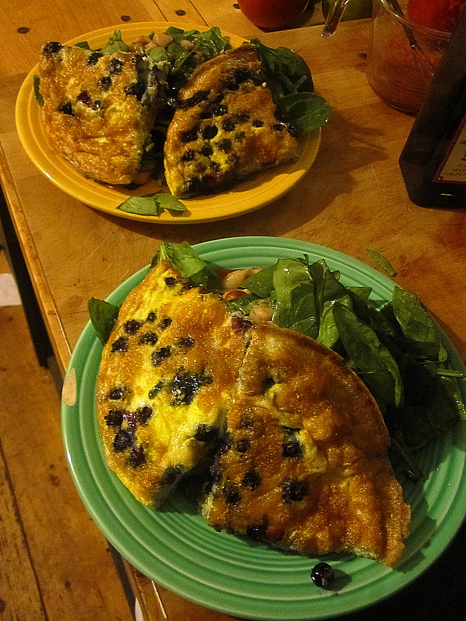 Blueberry_omlet_1oct2010