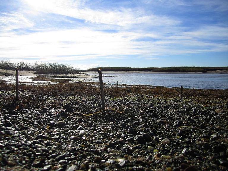 reeds_sculpture_october2013