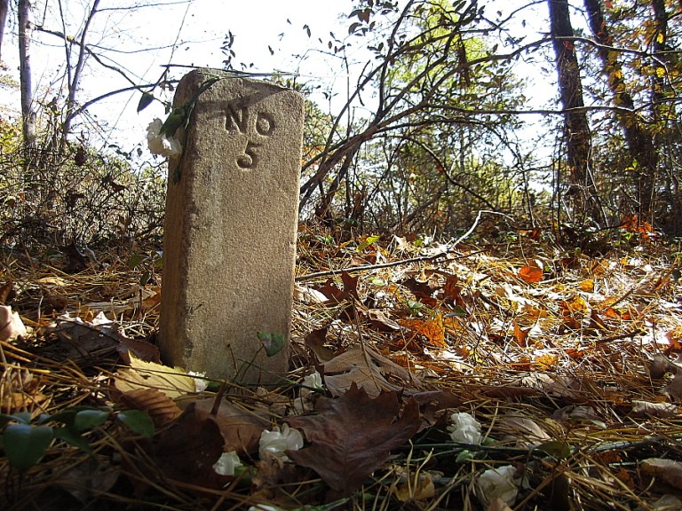 smallpox3_no5_27oct2013