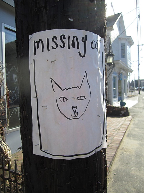 missing_cat