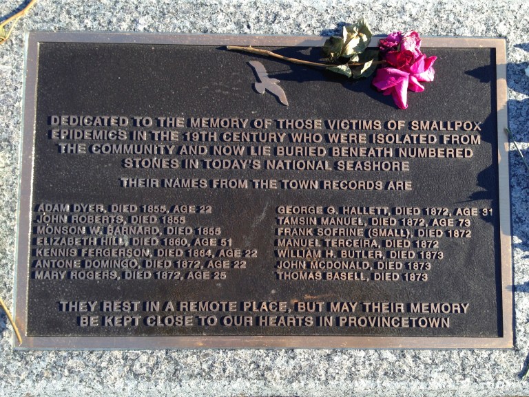 smallpox_plaque_15april2015